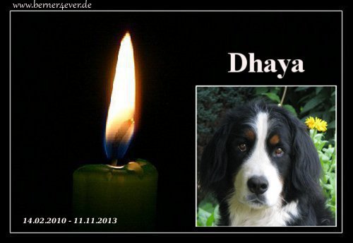 RIP Dhaya
